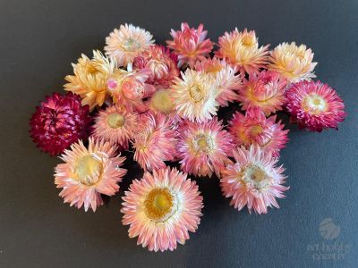 Capete Flori de Pai (Naturale) – Set 10g – roz