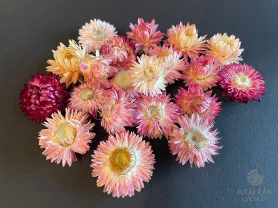  Capete Flori de Pai (Naturale) – Set 10g – roz