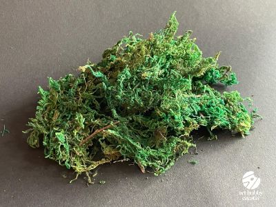 Muschi Natural Vopsit – Set 10g