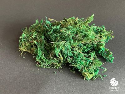 Muschi Natural Vopsit – Set 10g
