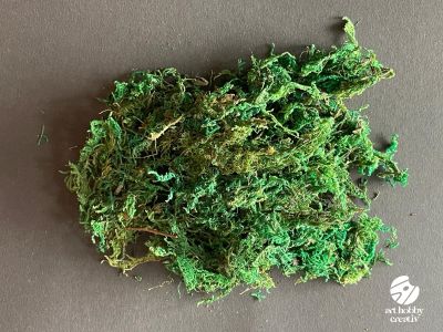 Muschi Natural Vopsit – Set 10g