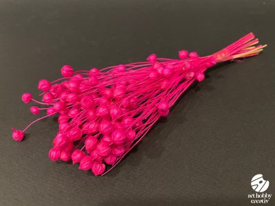 In Natural Uscat (Linum) – 15g