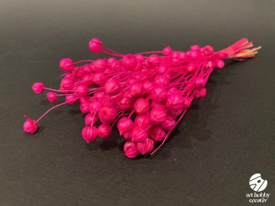 In Natural Uscat (Linum) – 15g