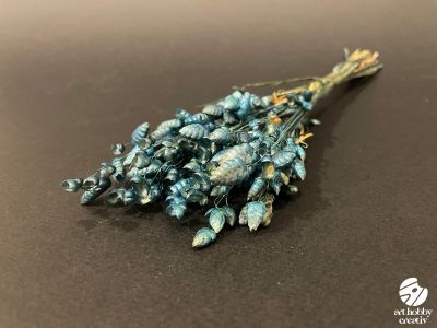 Ovaz Natural Uscat – 8g (30 fire)