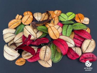 Asa Barata Color – Set 25g