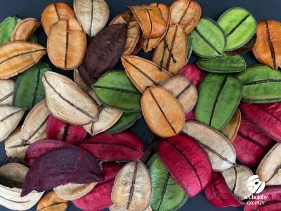 Asa Barata Color – Set 25g