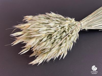 Buchet Ovaz Natural Uscat 