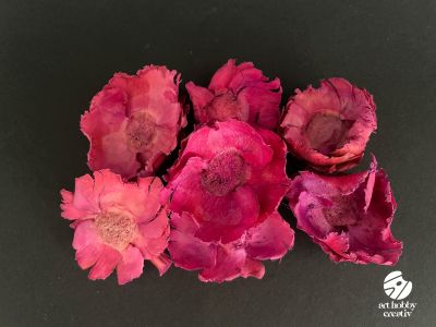 Flori de Cocos pinc – Set 7 bucati