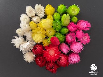Capblumen Color – Flori Uscate Naturale, Set 12 g
