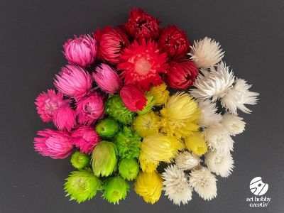 Capblumen Color – Flori Uscate Naturale, Set 12 g