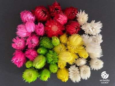 Capblumen Color – Flori Uscate Naturale, Set 12 g