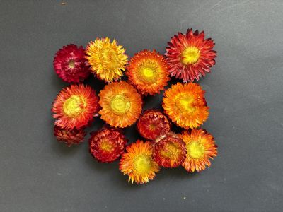 Flori de Paie Uscate – Roșu/Portocaliu - 10 gr