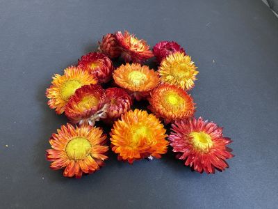 Flori de Paie Uscate – Roșu/Portocaliu - 10 gr