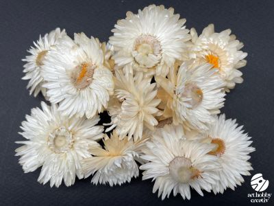 Flori de Paie Uscate - Alb / Crem - 10 gr.