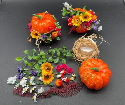 Dovleac pentru decorat DIY + Accesorii Si Elemente Florale