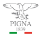 Pigna