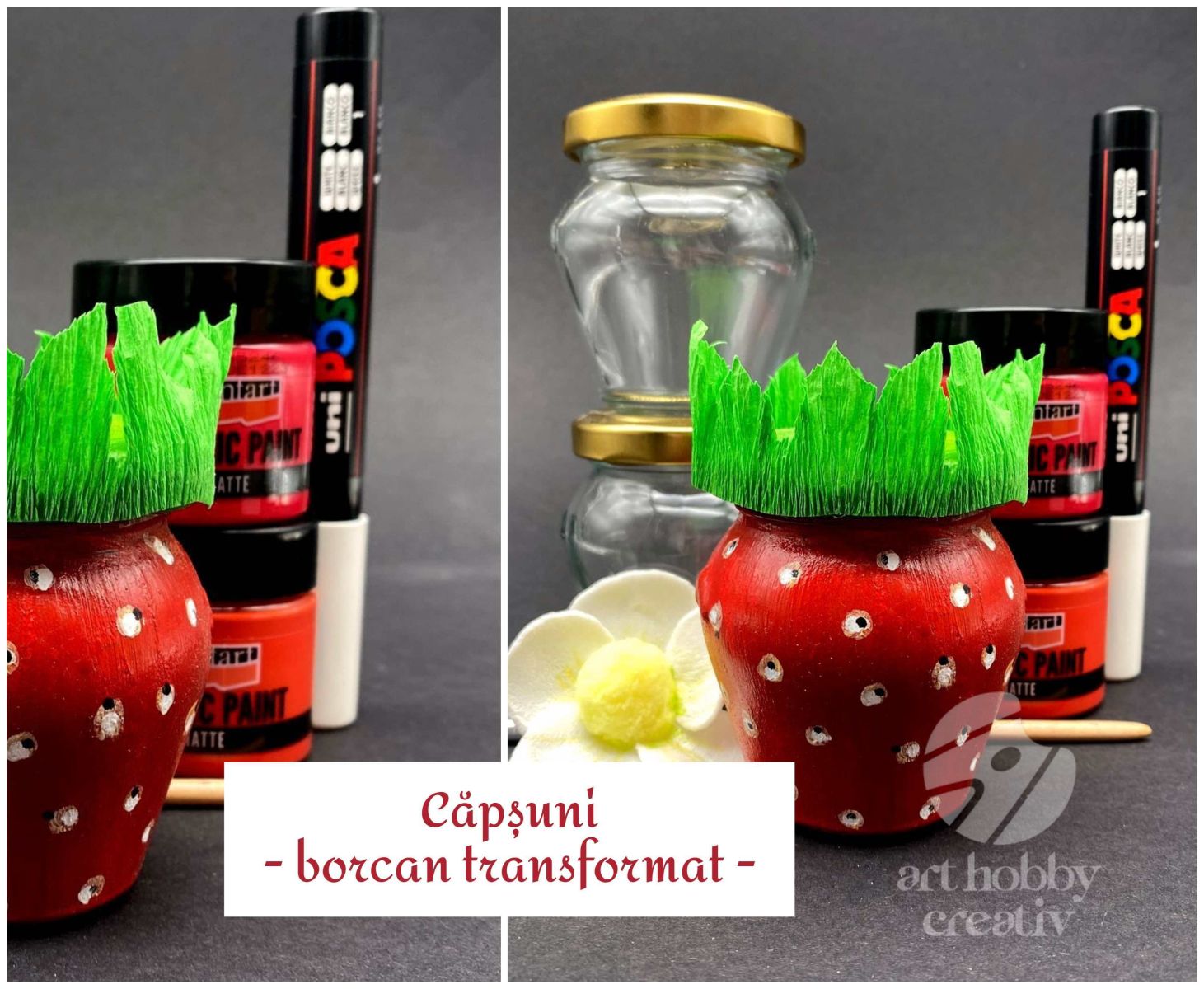 Se deschide sezonul capsunilor! Se deschide sezonul capsunilor!